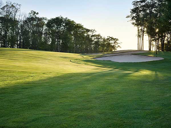 高爾夫球場草坪圖片