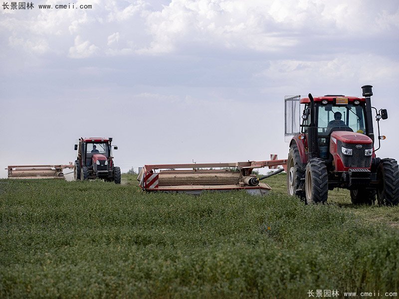 優質高產牧草收割