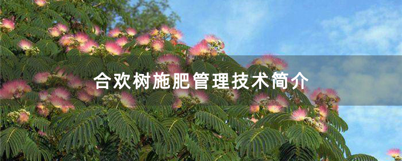 合歡樹施肥管理技術簡介