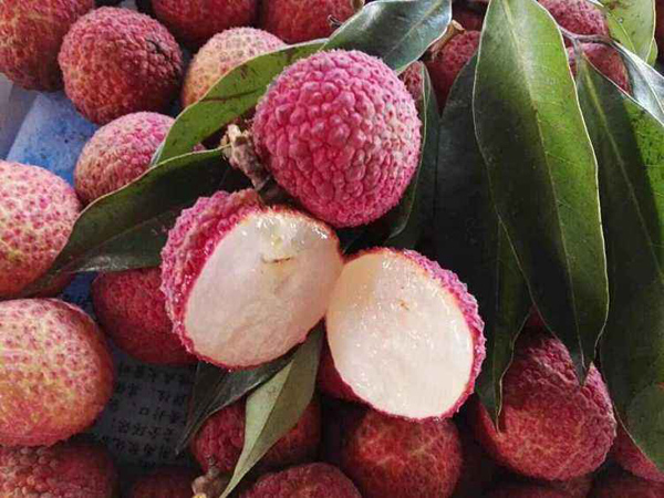 無核荔枝